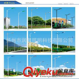 LED  S單臂路燈系列 廠家直銷 單臂道路路燈 模組路燈 小區(qū)道路照明 可來圖來樣定制原始圖片3