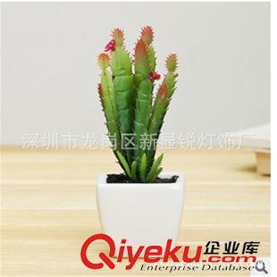 LED仙人球燈、仙人掌 新銳燈飾工廠直銷高品質(zhì)低價(jià)格LED仙人球仙人掌燈仿真植物草莓燈原始圖片2