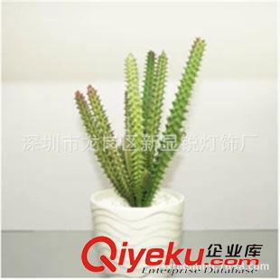 LED仙人球燈、仙人掌 【景行】【特價(jià)】供應(yīng)LED仙人球燈、仙人掌景觀燈、發(fā)光仙人球原始圖片3