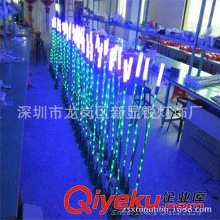 LED蘆葦燈 led景觀燈 戶(hù)外蘆葦燈 園林亮化工程光纖燈 廠家麥穗燈 可定做原始圖片2