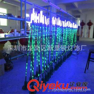 LED蘆葦燈 led景觀燈 戶(hù)外蘆葦燈 園林亮化工程光纖燈 廠家麥穗燈 可定做原始圖片3