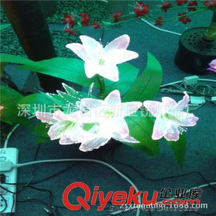 LED光纖花瓶燈 LED長(zhǎng)亮 滴膠花瓶燈婚慶節(jié)日新年工藝臺(tái)燈室內(nèi)裝飾燈原始圖片3