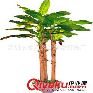 gf傎植物樹 新銳直銷 仿真旅人焦/排芭蕉/仿真芭蕉大型假樹植物樹/軟裝綠植
