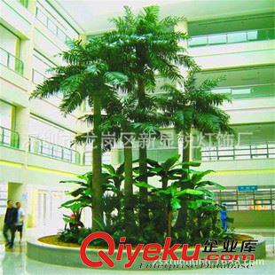 gf傎植物樹 椰子樹gf真廠家直銷 仿真植物樹 盆景植 物墻 園林景觀設計生