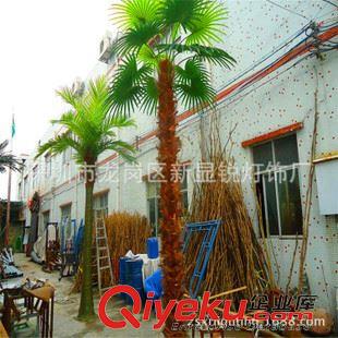 gf傎植物樹 椰子樹gf真廠家直銷 仿真植物樹 盆景植 物墻 園林景觀設計生