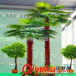 gf傎植物樹 椰子樹gf真廠家直銷 仿真植物樹 盆景植 物墻 園林景觀設計生