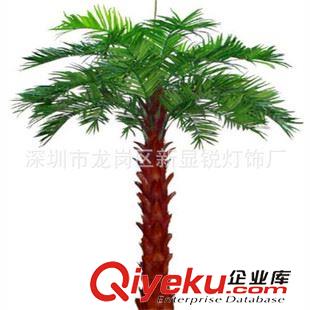 gf傎植物樹 廠家專業生產 果樹，楓葉樹。玫瑰樹，綠化景觀植物 植物樹