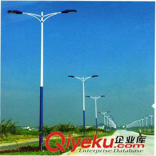 未分類 亮圖雙頭路燈桿LED 8米燈桿 廠家直銷原始圖片2