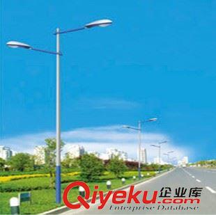 未分類 亮圖led庭院燈桿 路燈桿6米8米10米燈桿定制 廠家直銷