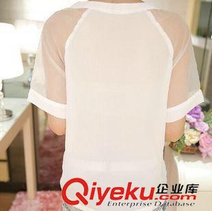 女式襯衫 短袖女T恤雪紡拼接打底衫寬松貓咪可愛圖案圓領(lǐng)上衣動物蕾絲原始圖片2