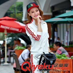 運(yùn)動(dòng)套裝 春秋季女款時(shí)尚衛(wèi)衣長(zhǎng)袖修身韓版運(yùn)動(dòng)休閑套裝女原始圖片3