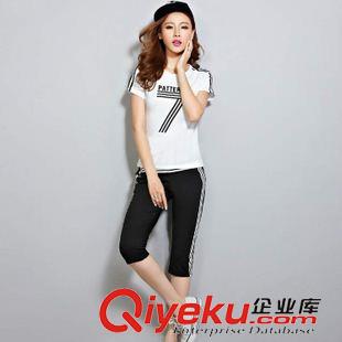 套裝 2015新款時(shí)尚衛(wèi)衣女兩件套簡(jiǎn)約運(yùn)動(dòng)衣休閑短袖套裝女 廠家直銷