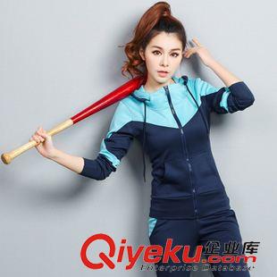 套裝 2015秋季新款運(yùn)動(dòng)套裝女休閑套裝運(yùn)動(dòng)服衛(wèi)衣大碼套裝女 廠家直銷原始圖片3