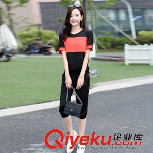 套裝 2015新款胖mm夏季運(yùn)動(dòng)套裝大碼女裝短袖休閑套裝 廠家直銷