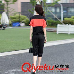 套裝 2015夏裝新款加大碼女裝胖mm夏裝韓版顯瘦休閑運動套裝 廠家直銷原始圖片2