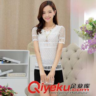 蕾絲衫 # 2015夏裝新款韓版女裝圓領(lǐng)顯瘦氣質(zhì)蕾絲短袖蕾絲衫