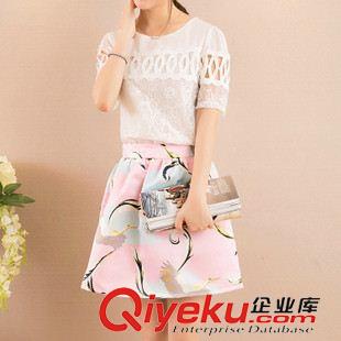 套裙 2015新款女裝兩件套高腰連衣裙 蕾絲短袖圓領套裝蓬蓬A字裙女原始圖片2