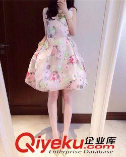 連衣裙 2015春夏新款歐根紗連衣裙蓬蓬裙女顯瘦 氣質(zhì)印花小清新裙子原始圖片2