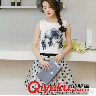 女士休閑套裝 2015新款波點(diǎn)上衣+吊帶長款背帶連衣裙套裝
