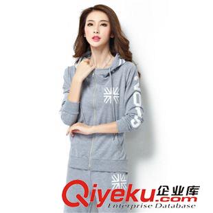 長(zhǎng)袖衛(wèi)衣系列 衛(wèi)衣女士長(zhǎng)袖休閑套裝2015秋裝新品女裝時(shí)尚修身長(zhǎng)褲運(yùn)動(dòng)套裝女潮
