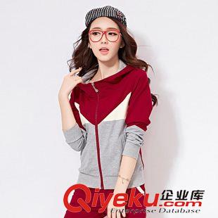 *純色二件套 詩婷露雅時尚運動套裝女春秋2015韓版休閑大碼學生長袖衛(wèi)衣兩件套原始圖片3