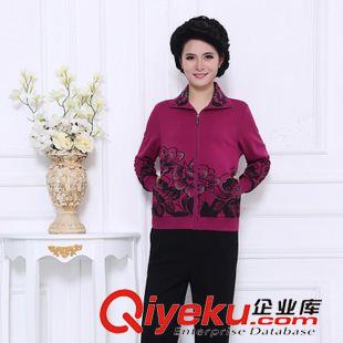 *女二件套 15新款中老年運(yùn)動(dòng)套裝女春秋兩件套大碼媽媽裝休閑時(shí)尚運(yùn)動(dòng)運(yùn)動(dòng)服原始圖片2