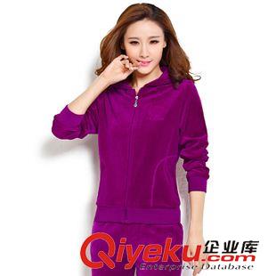 *女二件套 2015春秋套裝女裝潮流新款天鵝絨大碼中老年運動套裝韓版簡單媽媽原始圖片2