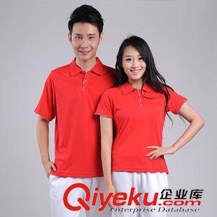 運動套裝 新款卡迪6331男女春秋款長袖套裝大碼中老年團體運動服演出服班服