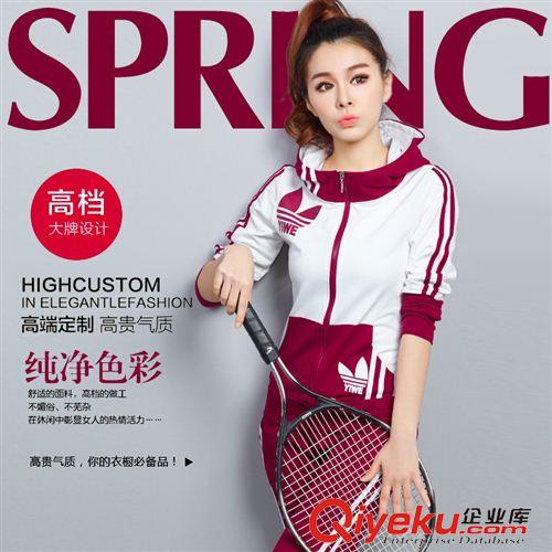 休閑套裝 韓版時尚套裝2015春裝新款大碼修身顯瘦衛衣套裝潮女原始圖片2