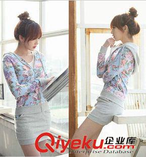 休閑套裝 2013新款春秋裝女裝女士衛(wèi)衣外套短裙套裝印花休閑套裝原始圖片2