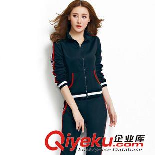 休閑套裝 2015休閑運動服套裝女款春秋衛(wèi)衣大碼淑女裝修身顯瘦潮原始圖片3