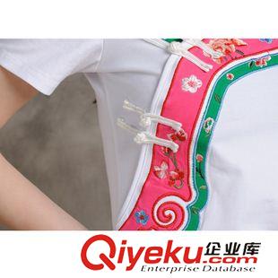 民族風款 2015年民族風新款重工貼布繡花 中式立領 短袖T恤原始圖片2