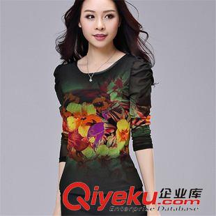 長袖T恤 2015秋季新款定型花圓領(lǐng)拼接炫彩泡泡袖打底衫原始圖片2