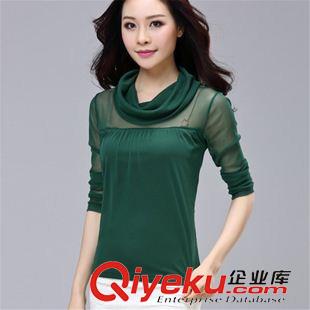 長(zhǎng)袖T恤 2015秋季大碼女裝修身高領(lǐng)印花長(zhǎng)袖網(wǎng)紗打底衫