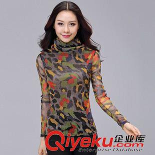 長(zhǎng)袖T恤 2015秋季大碼女裝修身高領(lǐng)印花長(zhǎng)袖網(wǎng)紗打底衫原始圖片3