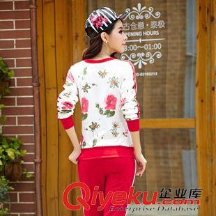 長(zhǎng)袖休閑套裝 2015早秋新款韓版休閑運(yùn)動(dòng)套裝女開衫時(shí)尚衛(wèi)衣女裝大碼原始圖片2