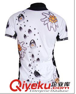短袖騎行套裝 2015新款捷安特女士騎行服套裝 吸濕排汗單車服騎行服夏季女短袖原始圖片3
