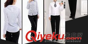 長袖襯衫（女） 酒店工作服秋冬裝女制服 OL通勤職業(yè)裝韓版修身前臺收銀襯衫原始圖片2