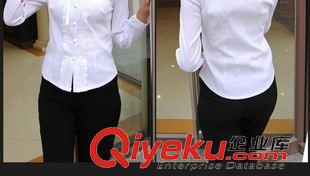 長袖系列 職業(yè)裝工作服秋冬裝女 時尚OL修身前臺收銀襯衫女士襯衣長袖原始圖片3