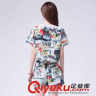 夏季休閑套裝/~~ 2015夏季新款名媛休閑套裝女裝韓國時尚印花短袖短褲兩件套潮原始圖片2