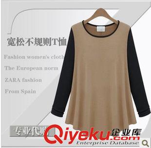 Ebay.亞馬遜 熱賣(mài) zara代購(gòu)2013秋裝新款長(zhǎng)袖T恤 女士上衣寬松顯瘦百搭打底衫原始圖片2