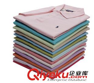 短袖POLO衫 外貿T恤訂單加工定做 翻領珠地棉廣告衫 促銷T恤來圖樣定制