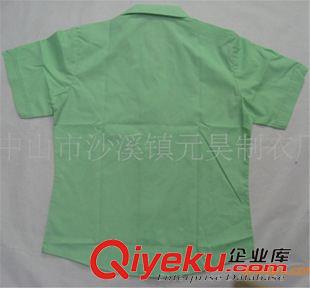 夏季工作服 定做襯衫 短袖工作襯衫 外貿襯衣訂單加工 滌棉6535 tj供應原始圖片2