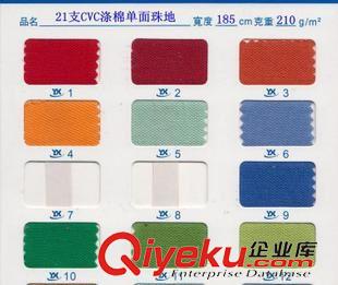 21支珠地布 銷售210g滌棉網(wǎng)眼珠地布 polo衫t恤針織面料 工作服面料原始圖片2