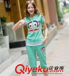 夏裝休閑套裝 2014夏季新款女士運(yùn)動(dòng)休閑套裝時(shí)尚卡通印花修身韓版衛(wèi)衣韓版套裝原始圖片2