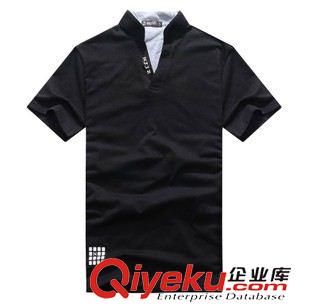 翻領(lǐng)T恤、POLO衫 外貿(mào)承接2013新款短袖男t恤polo 翻領(lǐng) 廣告衫 間條翻領(lǐng)polo衫 FOB