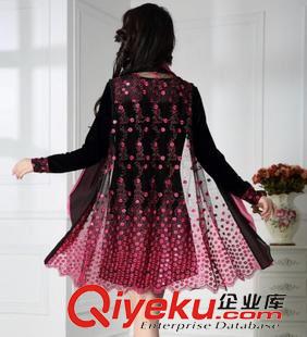 中老年女裝 2015秋裝新款gd品牌刺繡兩件套大碼長袖 金絲絨刺繡連衣裙原始圖片3