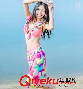 泳衣 韓國bikini性感花邊分體平角裙式bjn泳衣鋼托聚攏女泳裝原始圖片3
