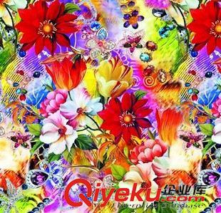 精品推薦 廠家生產(chǎn) 滌棉面料數(shù)碼熱轉(zhuǎn)印 東莞數(shù)碼印花 高清數(shù)碼印花原始圖片2