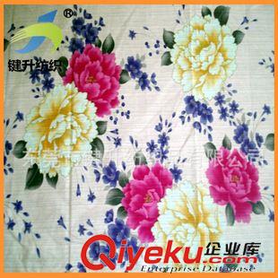 數(shù)碼直噴印花 專業(yè)生產(chǎn) t恤數(shù)碼直噴印花 成衣數(shù)碼直噴印花 面料數(shù)碼直噴印花